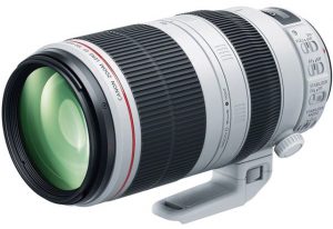 sports lens Best Types of Canon Lenses